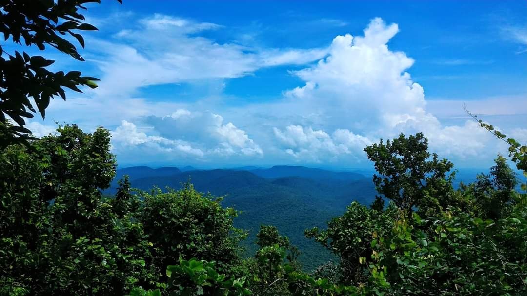 কপিলাস হিলস- ঢেনকানাল জেলার এই পাহাড়ি জায়গাটি ভুবনেশ্বর থেকে প্রায় ৭০ কিমি। ছোট ছোট ঝর্না, সবুজ অরণ্য আর মন্দিরে ভরা। প্রকৃতিপ্রেমীদের কাছে আদর্শ। লোকাল গাড়ি বা ট্যাক্সি ভাড়া ২০০০–২৫০০ টাকায় একদিনে ঘুরে নেওয়া যায়।